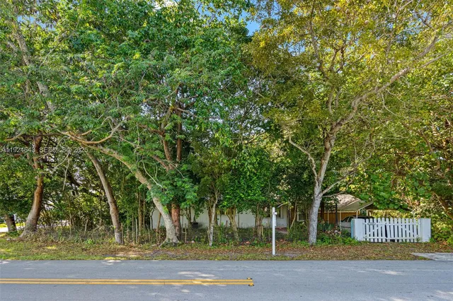 a backyard of a house with plants and large tree