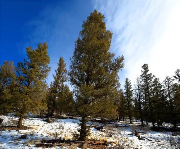 $179,000 | 2120 Bonell Drive, Fairplay, CO 80440