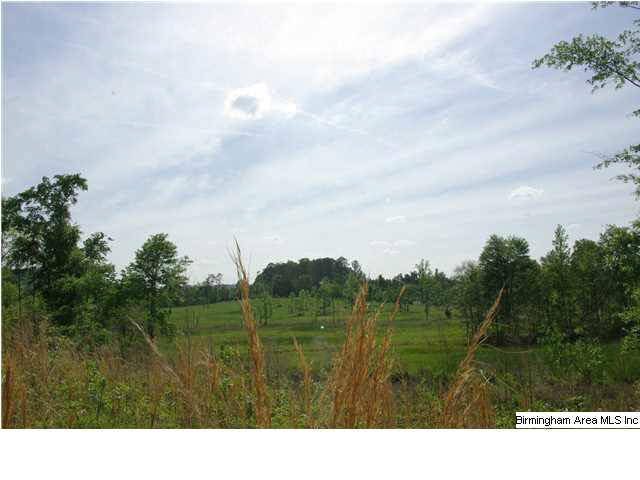 Shoal Creek Road, Unit 56 Ashville, AL 35953 - Photo 11 of 21