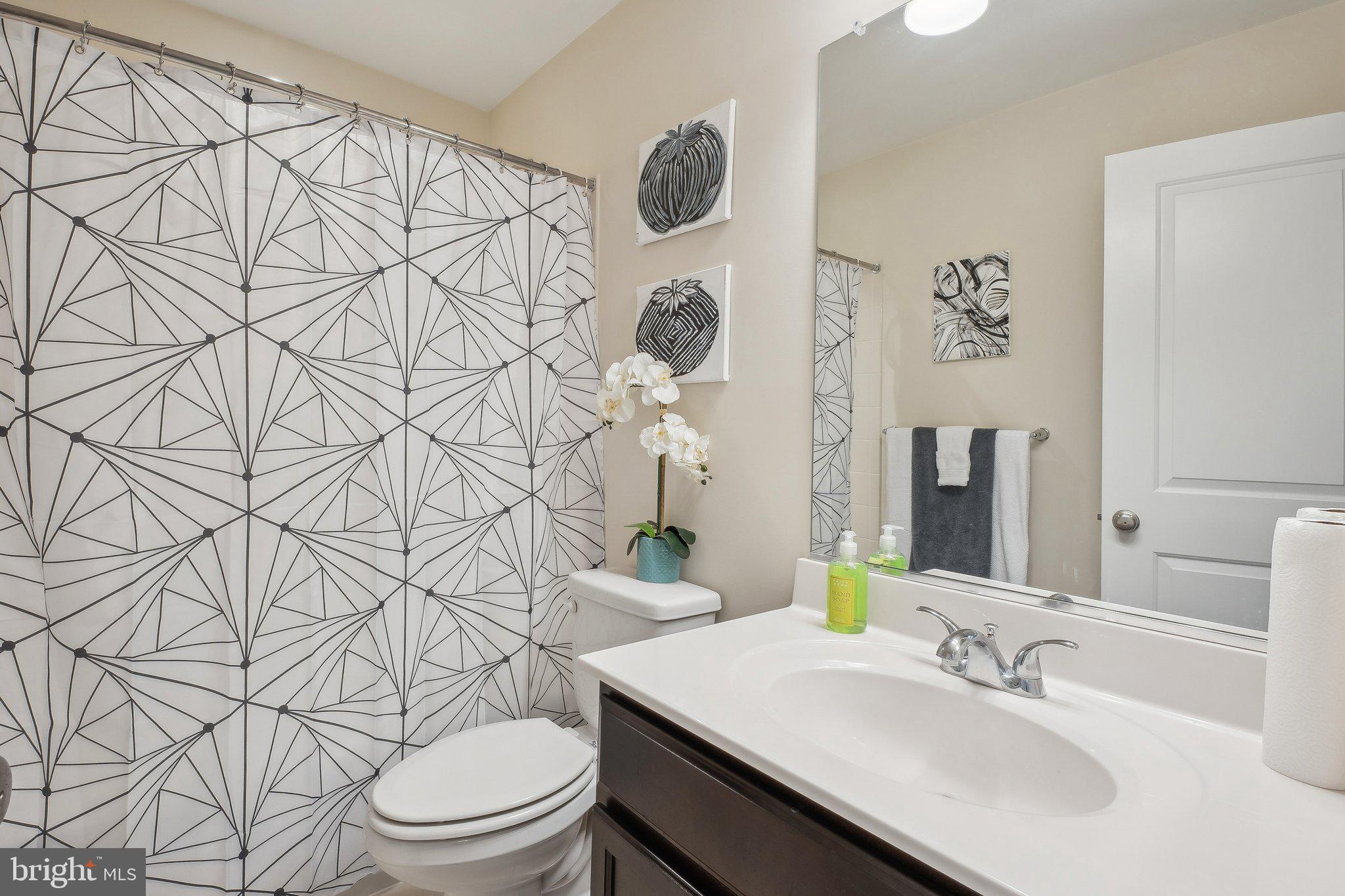 58 Mustang Drive La Plata, MD 20646 - Photo 6 of 42 a bathroom with a sink a toilet and shower curtain