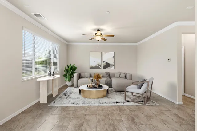 a living room with furniture and a potted plant