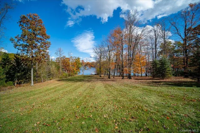 a view of a lake from a yard