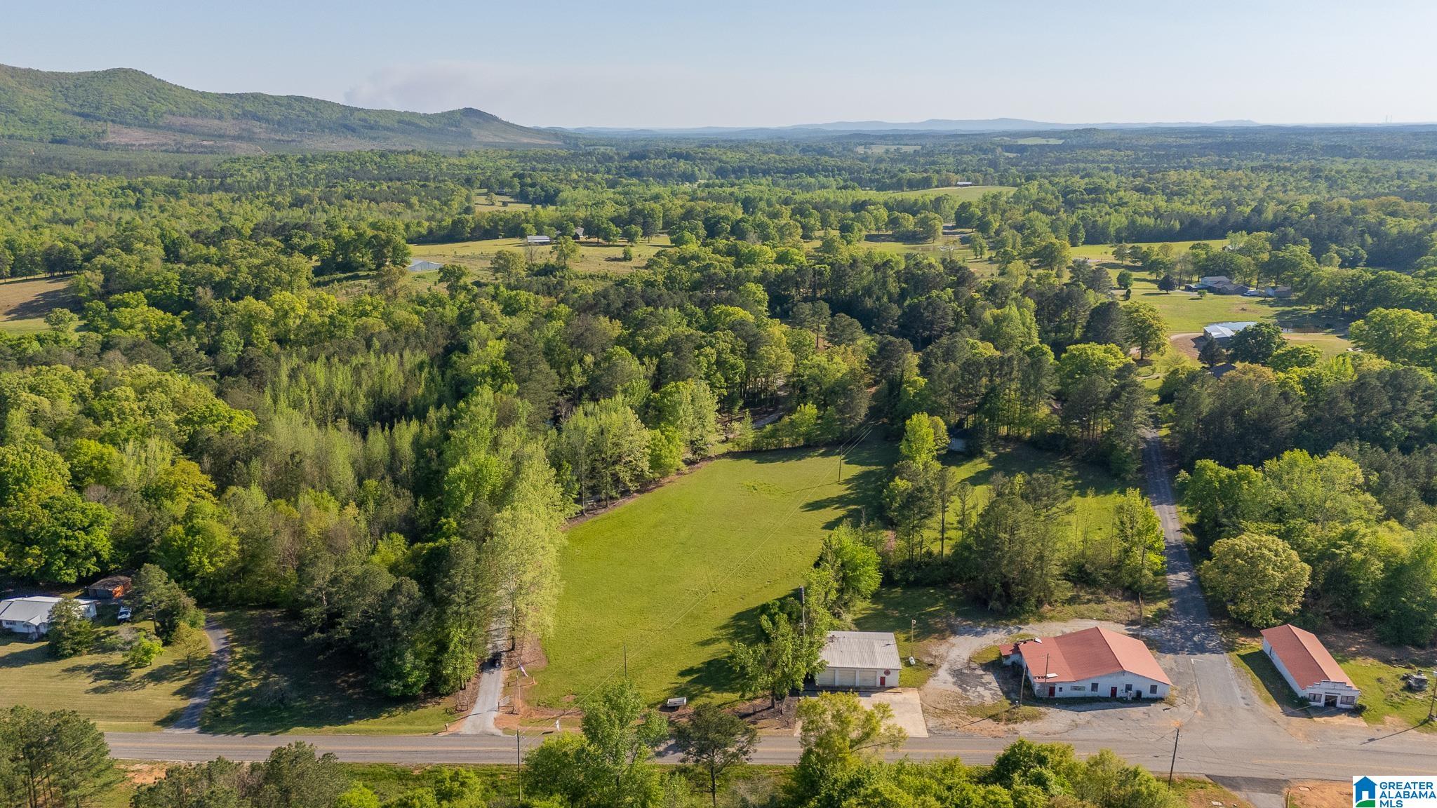 4435 Renfroe Road Talladega, AL 35160 - Photo 99 of 99 Gallery Image 99