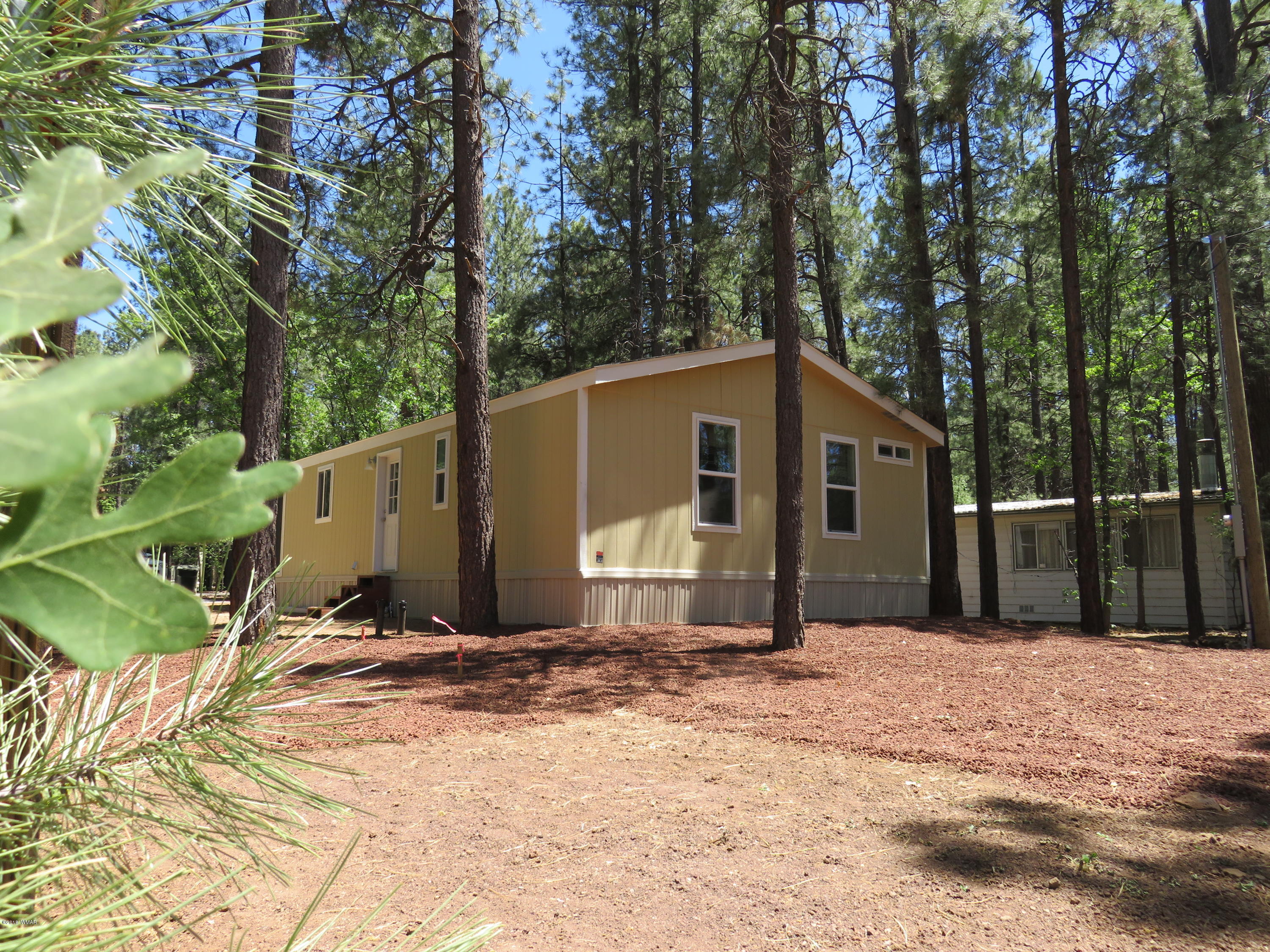 4156 West Blue Ridge Loop Pinetop, AZ 85935 - Photo 2 of 36