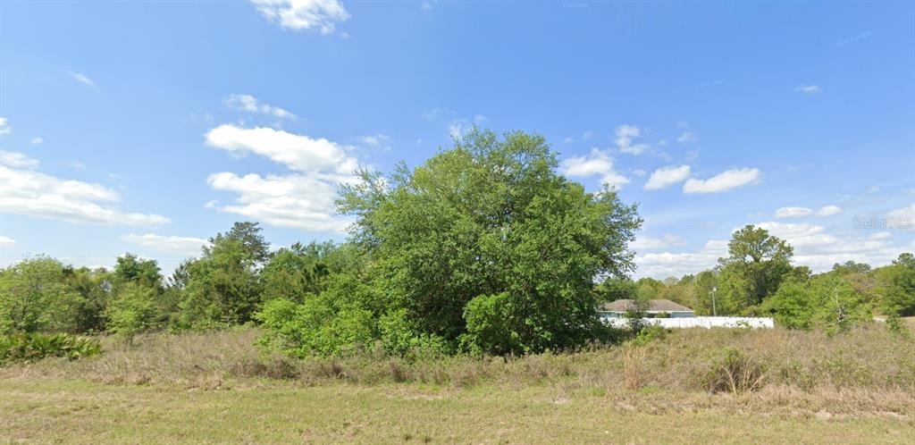 Tbd Southwest 58th Circle Ocala, FL 34473 - Photo 1 of 1