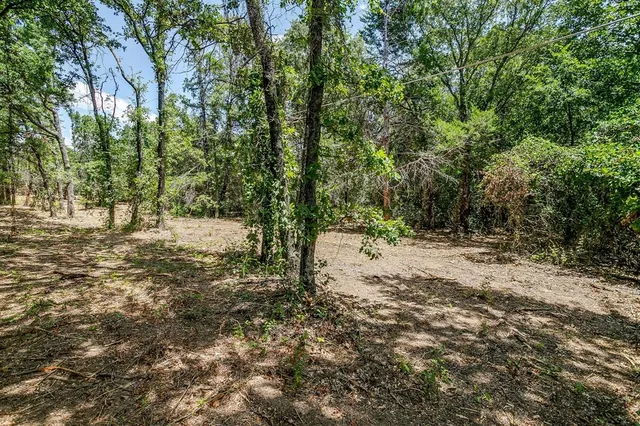 a view of dirt yard with a tree