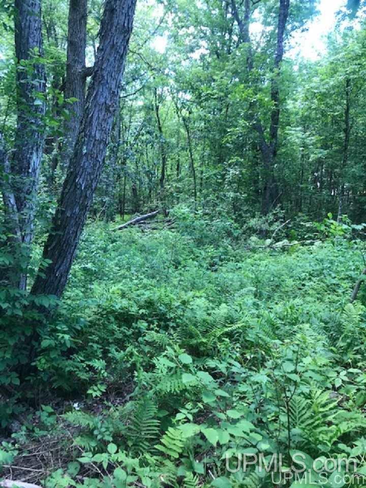 Tbd Floodwood Road Republic, MI 49879 - Photo 6 of 7