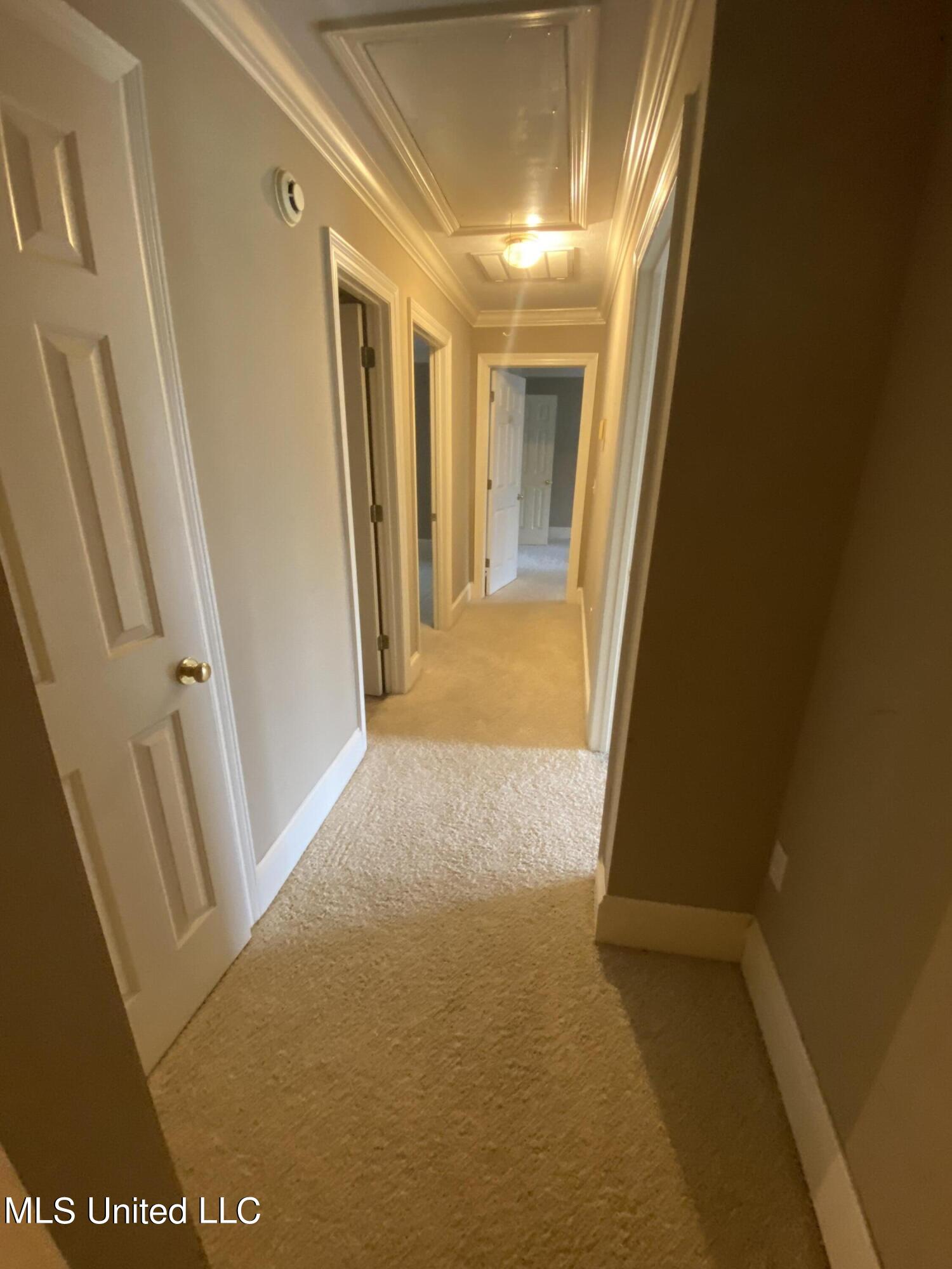 311 Colony Ridge Court Ridgeland, MS 39157 - Photo 44 of 62 38666594-CD53-415B-853B-FDA3EAF39D43