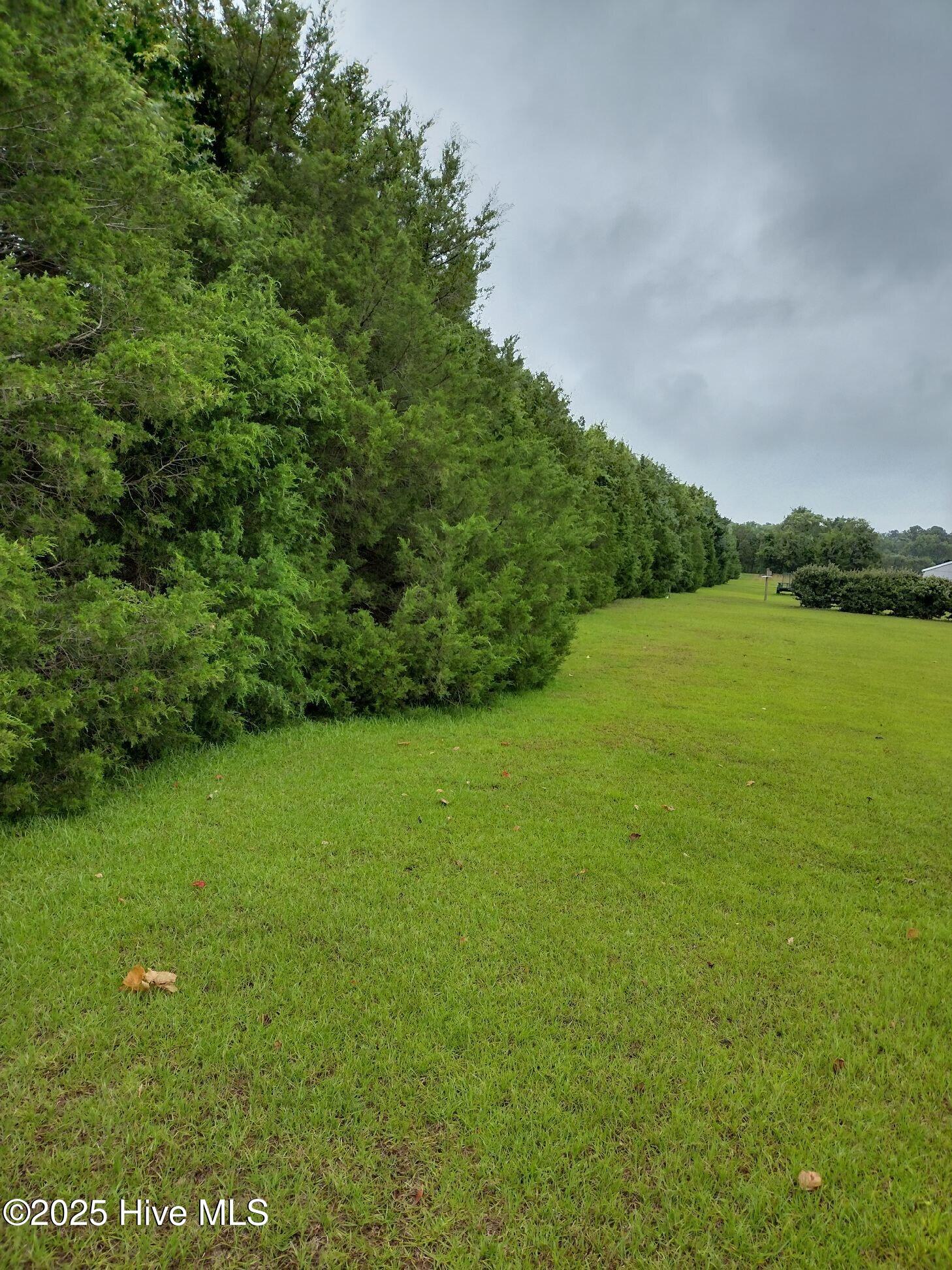 101 Indian Kettle Road Jarvisburg, NC 27947 - Photo 4 of 8 Land