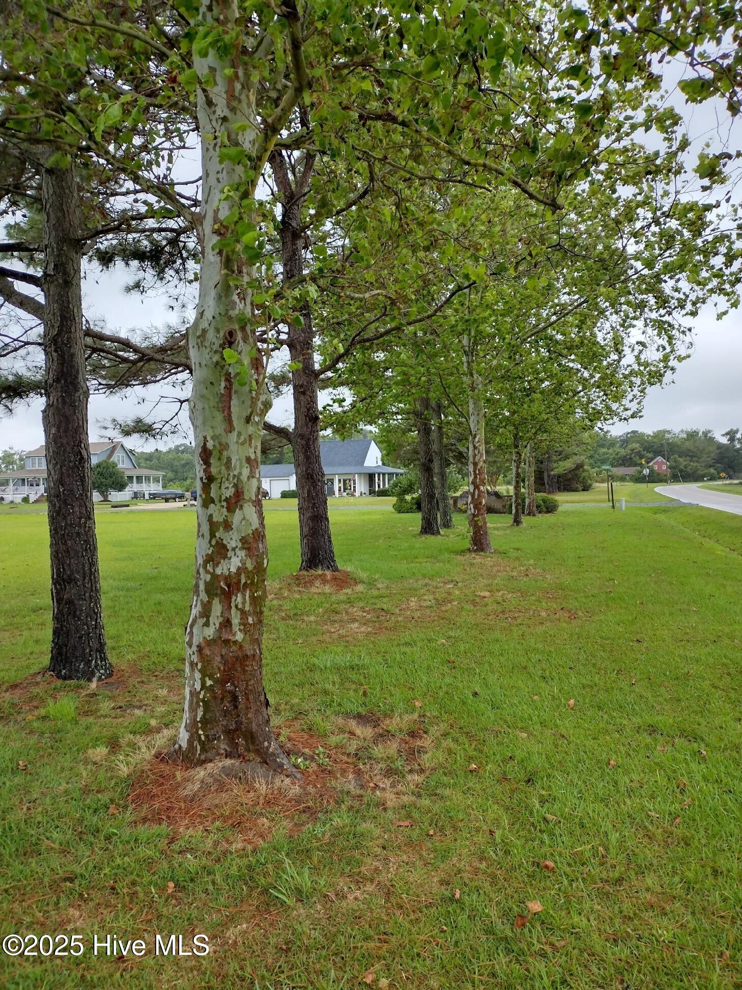 101 Indian Kettle Road Jarvisburg, NC 27947 - Photo 5 of 8 Land