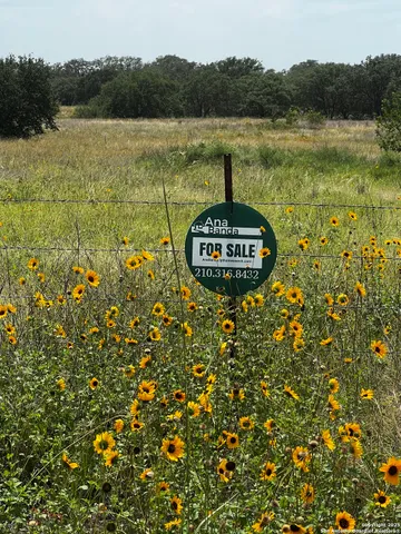 a view of a lake with a mountain in the background