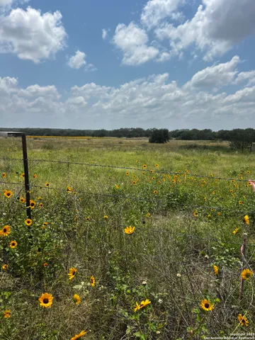 a view of yard and mountain in back