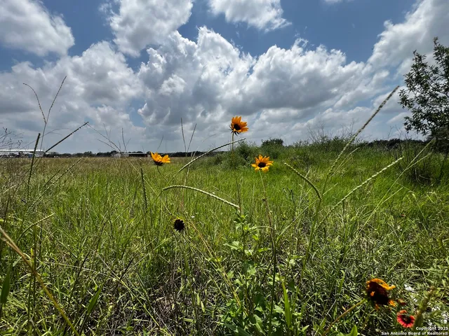 $245,239 | Tbd Lot 5 Sanctuary Lane, Von Ormy, TX 78073