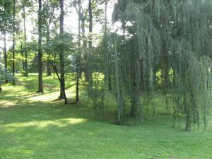 770 Kelso Road Mitchell, IN 47446 - Photo 4 of 16 Gallery Image 4