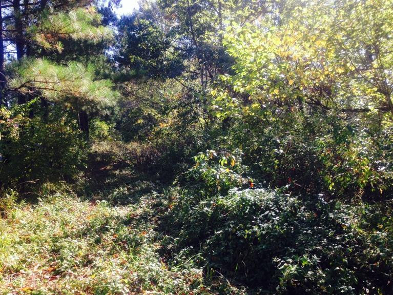 205 Old Eagle Tunnel Road Dry Ridge, KY 41035 - Photo 25 of 25