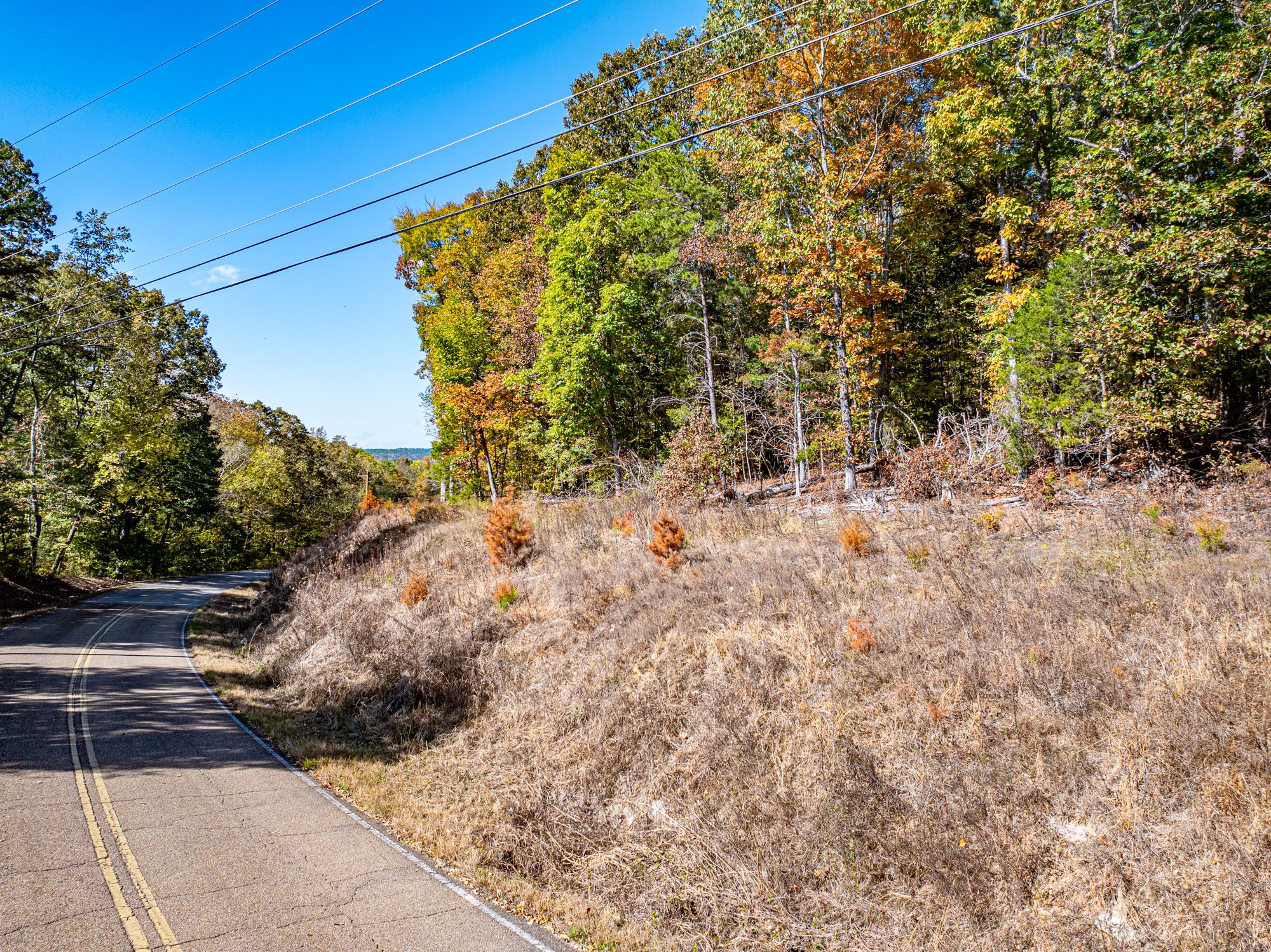 0 Streaming Water Loop Clifton, TN 38425 - Photo 2 of 10