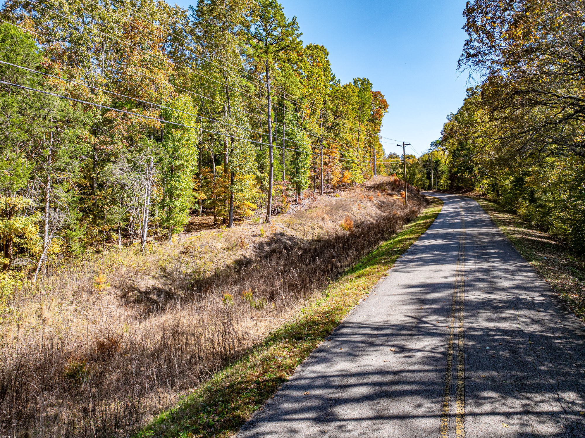 0 Streaming Water Loop Clifton, TN 38425 - Photo 5 of 10