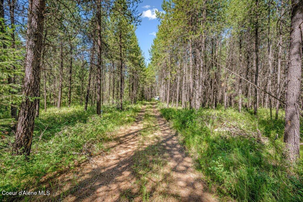 2013 Homestead Road Athol, ID 83801 - Photo 5 of 20 --7.jpg-SMALL