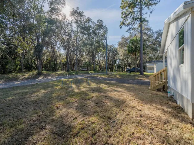 a view of dirt yard with a large tree