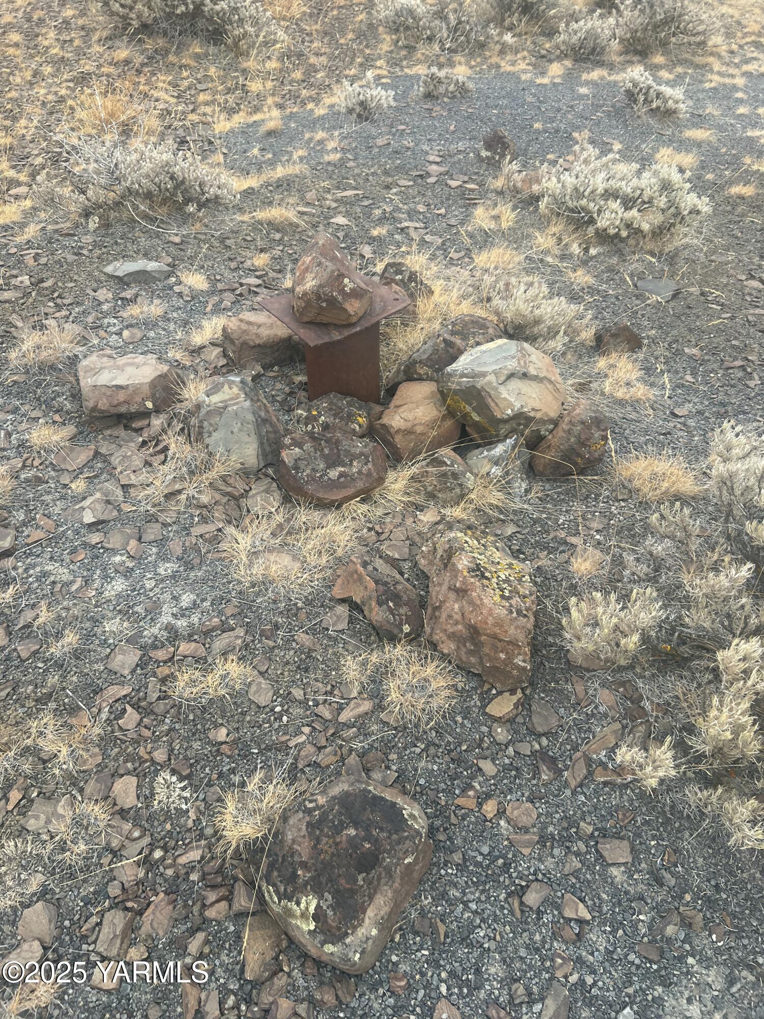 Nka Barrs Road Yakima, WA 98901 - Photo 13 of 14 a close up of a tree