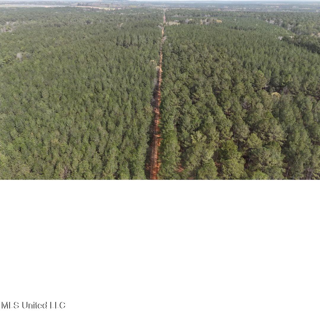 0 Sun Road Lawrence, MS 39336 - Photo 11 of 13 6