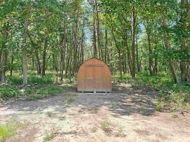 a green field with lots of trees