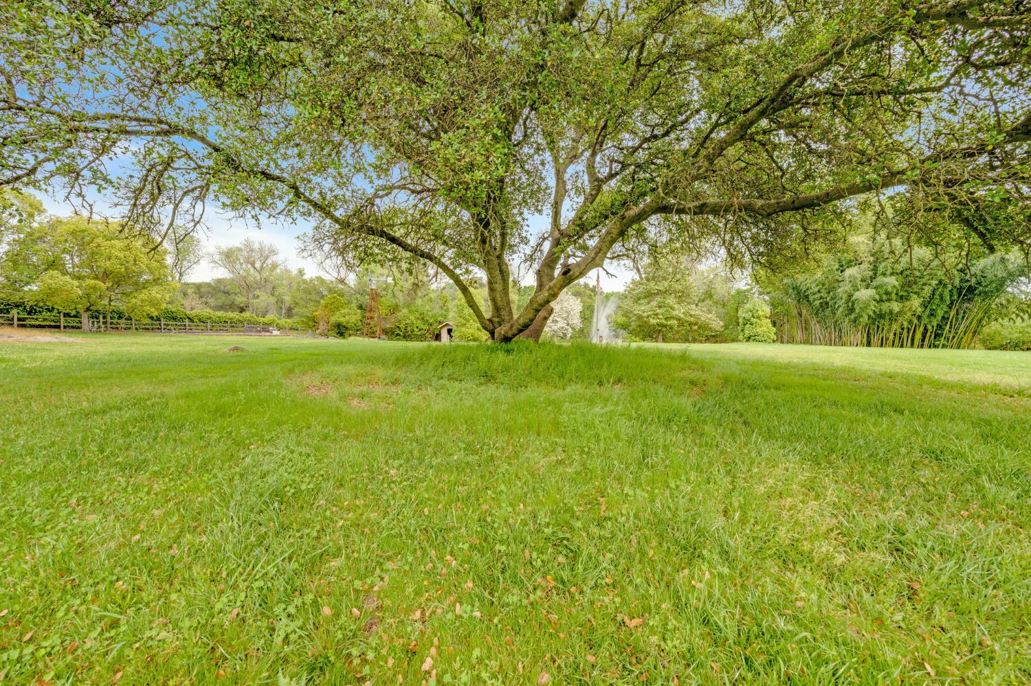5475 Laird Road Loomis, CA 95650 - Photo 81 of 95