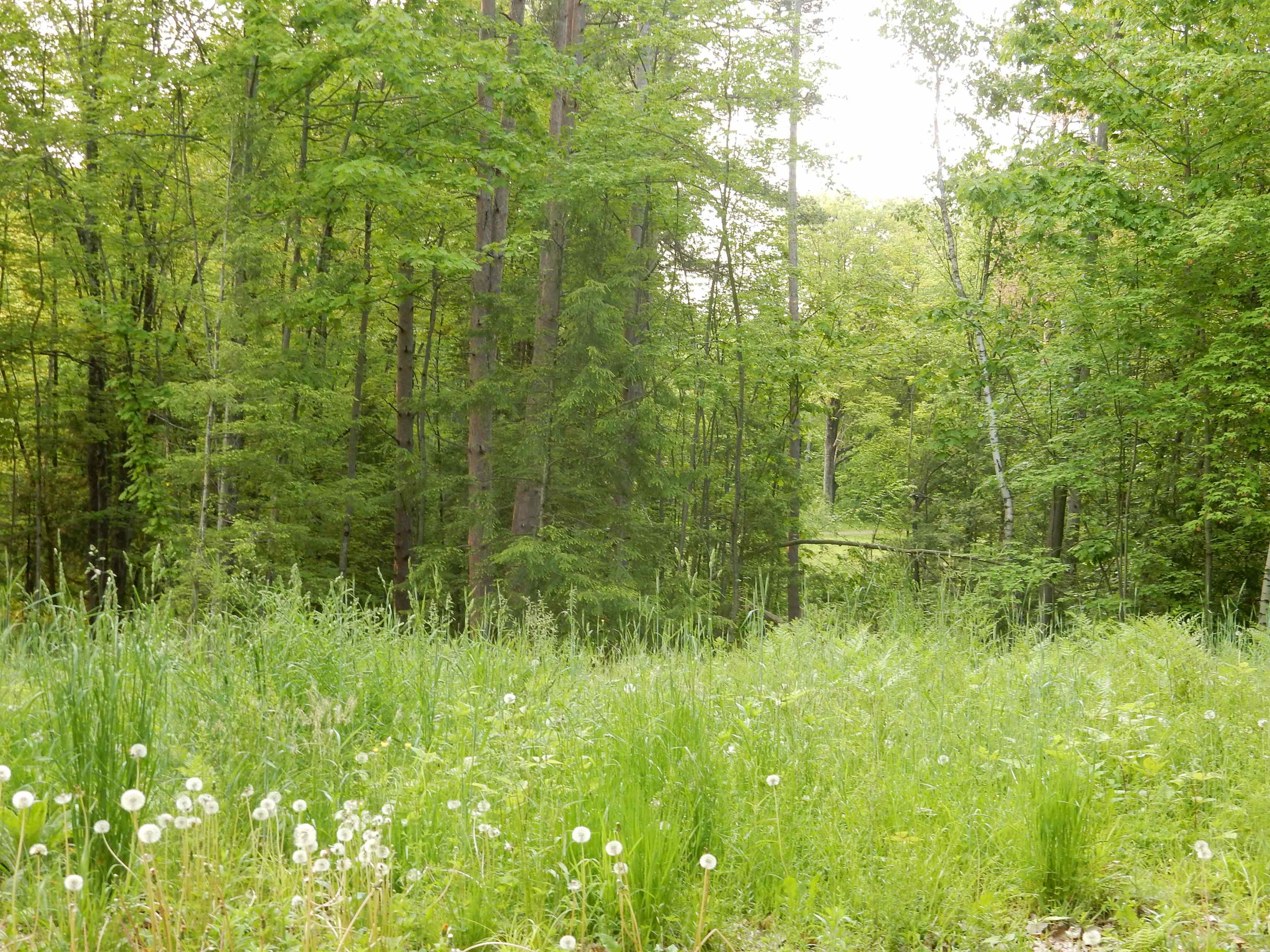 0 Pine Street, Unit 36 Newport, VT 05855 - Photo 5 of 6