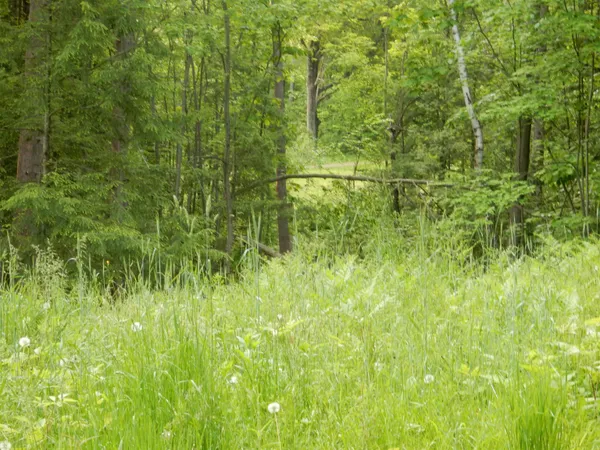 $69,500 | 0 Pine Street, Unit 36, Newport, VT 05855