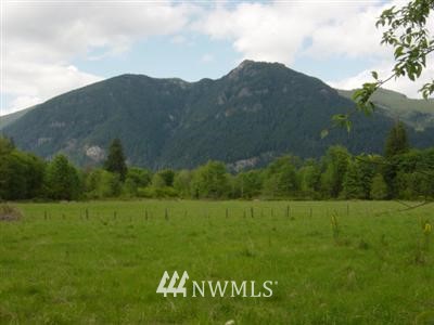 -l1 Cline Road Randle, WA 98377 - Photo 1 of 1 Gallery Image 1