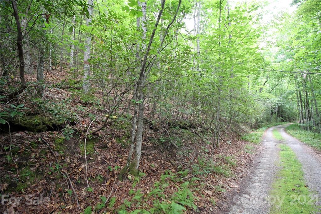 Tract B Tract B Old Parker Rd Lake, Unit TRACT B Rosman, NC 28772 - Photo 2 of 18 a view of a forest with trees