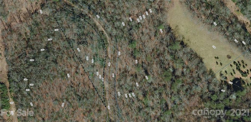 Tract B Tract B Old Parker Rd Lake, Unit TRACT B Rosman, NC 28772 - Photo 17 of 18 a view of a forest with a tree