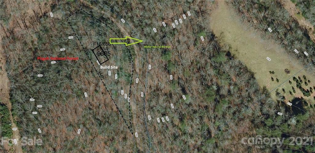 Tract B Tract B Old Parker Rd Lake, Unit TRACT B Rosman, NC 28772 - Photo 4 of 18 a view of a pathway both side of yard