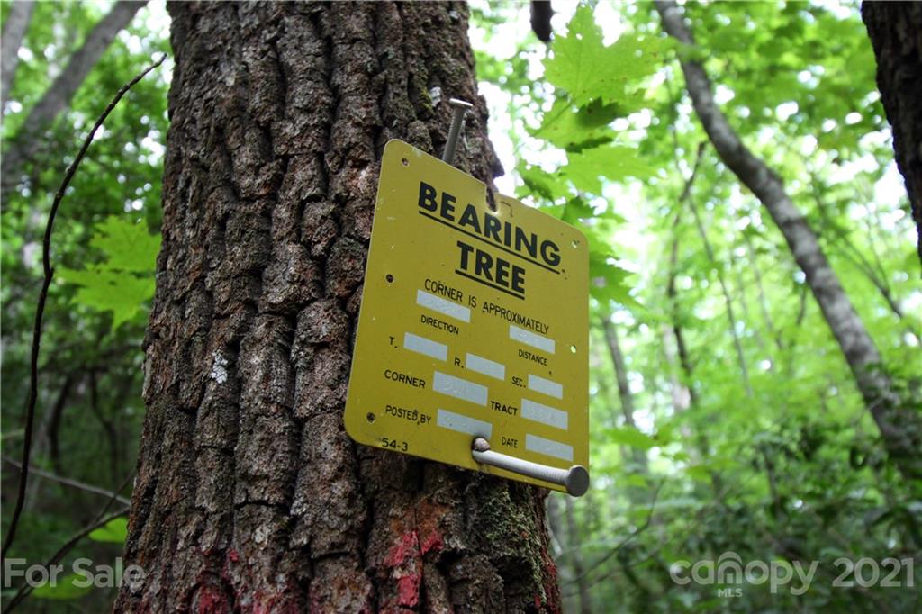 Tract B Tract B Old Parker Rd Lake, Unit TRACT B Rosman, NC 28772 - Photo 5 of 18 a sign that is on a tree