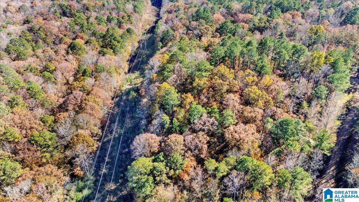 0 Hammock Road Trussville, AL 35173 - Photo 31 of 31