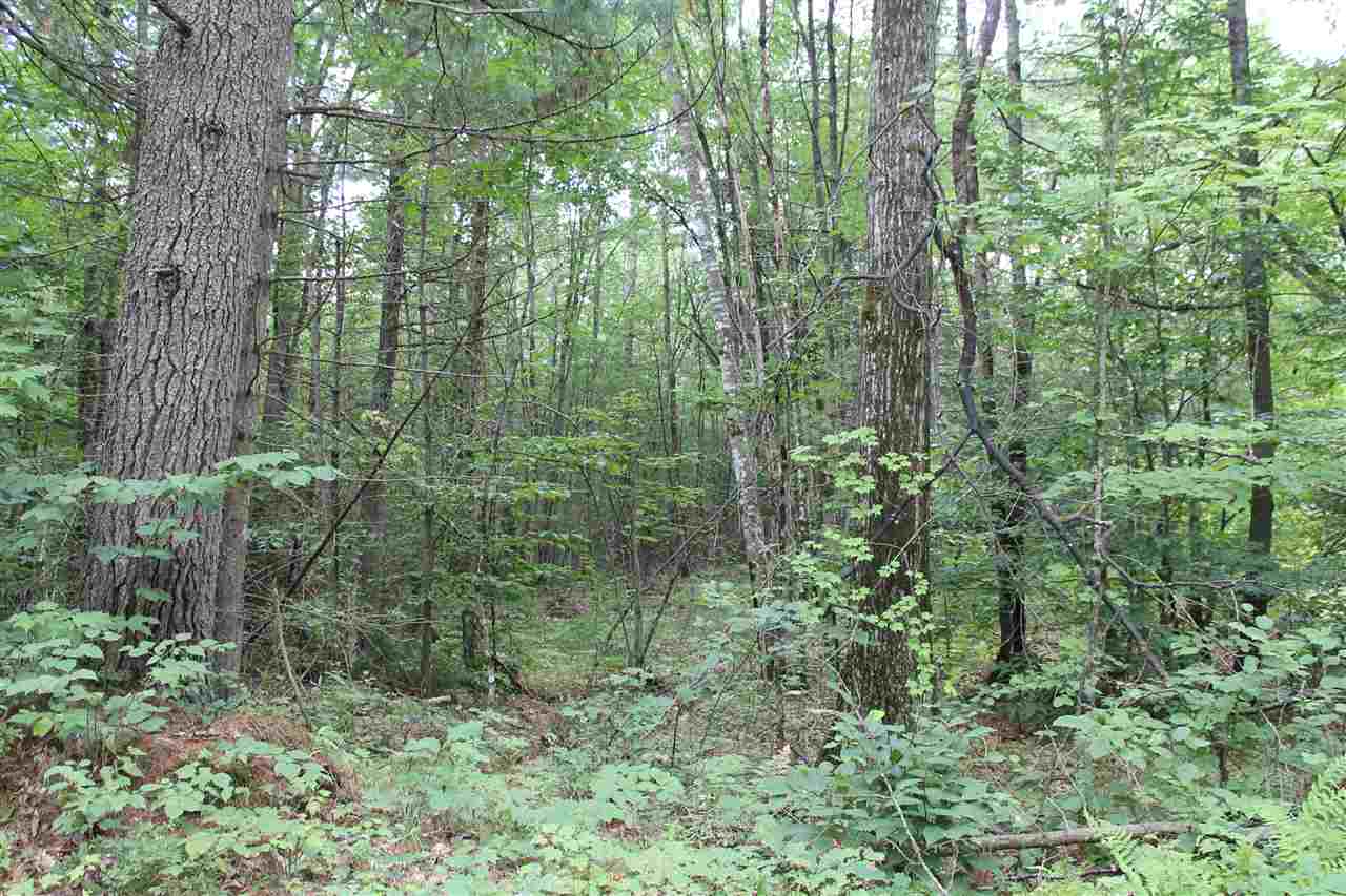 37 New Road, Unit 1 Barnstead, NH 03225 - Photo 1 of 13
