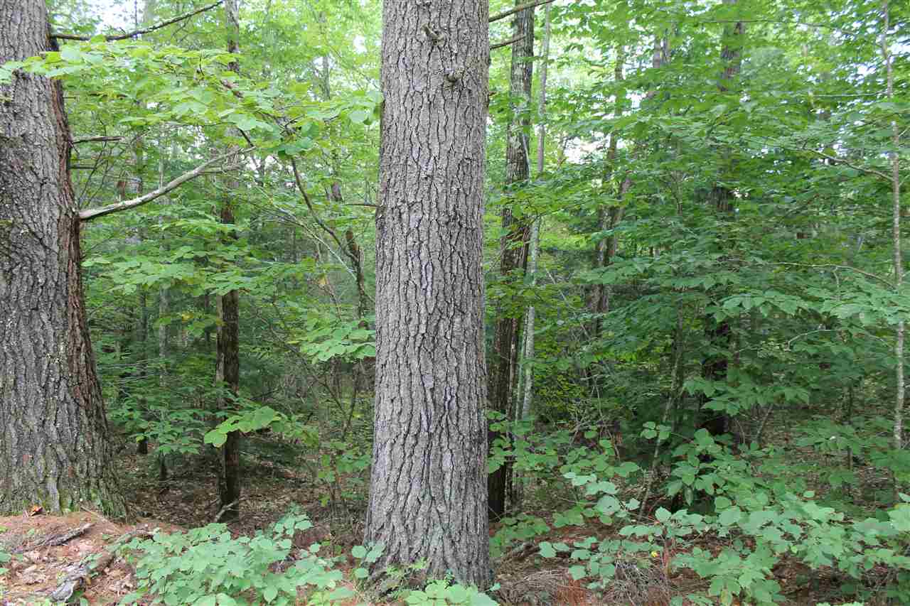 37 New Road, Unit 1 Barnstead, NH 03225 - Photo 11 of 13