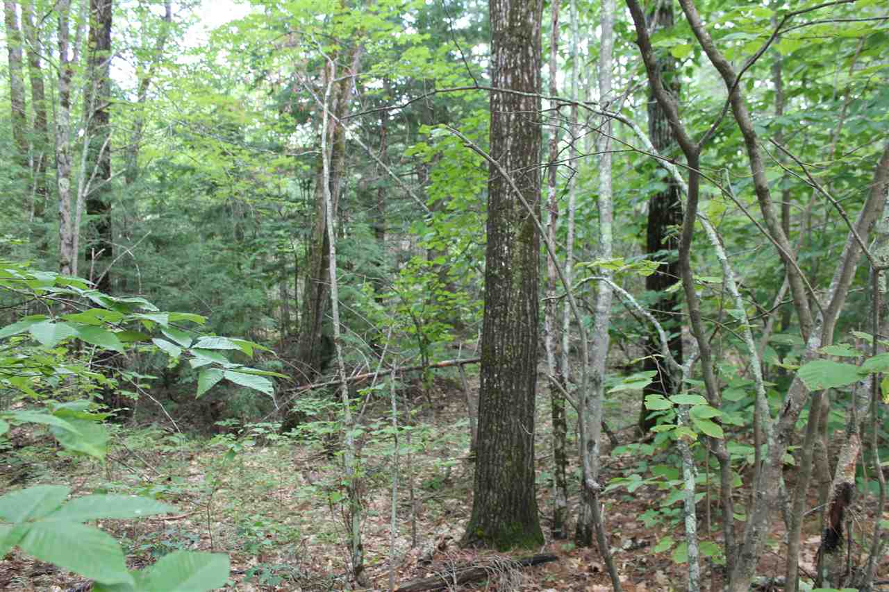 37 New Road, Unit 1 Barnstead, NH 03225 - Photo 12 of 13