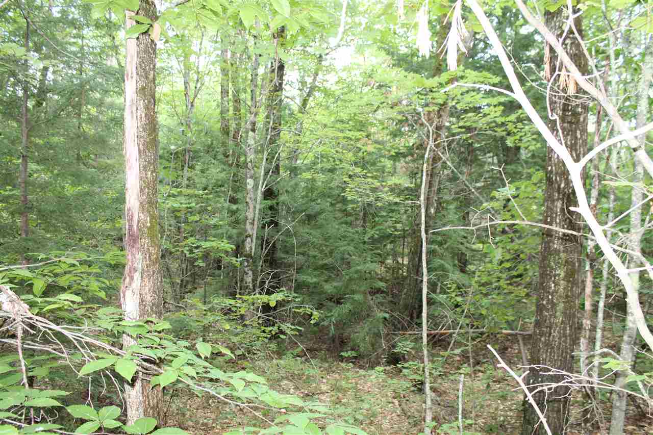 37 New Road, Unit 1 Barnstead, NH 03225 - Photo 13 of 13