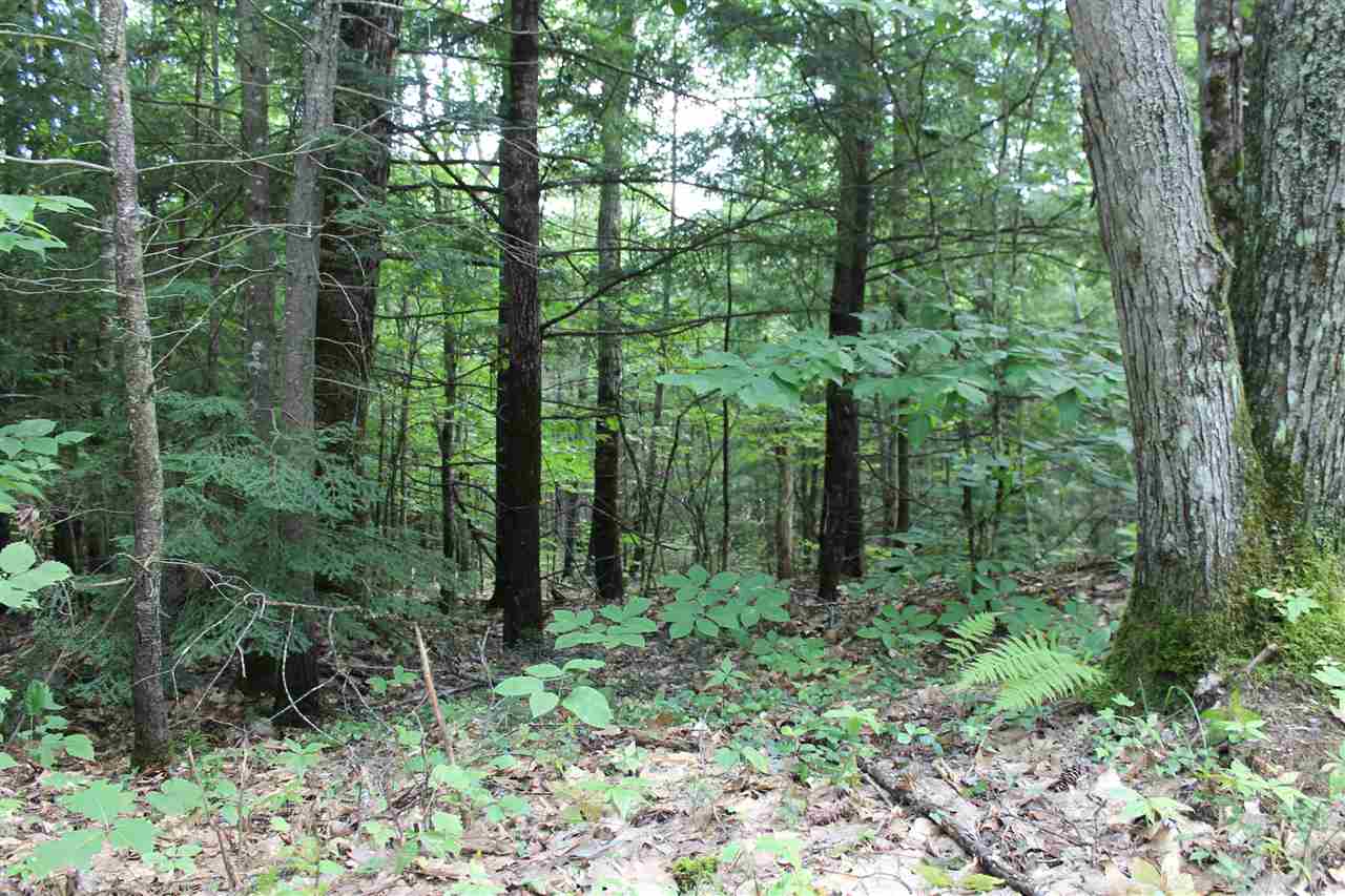 37 New Road, Unit 1 Barnstead, NH 03225 - Photo 6 of 13