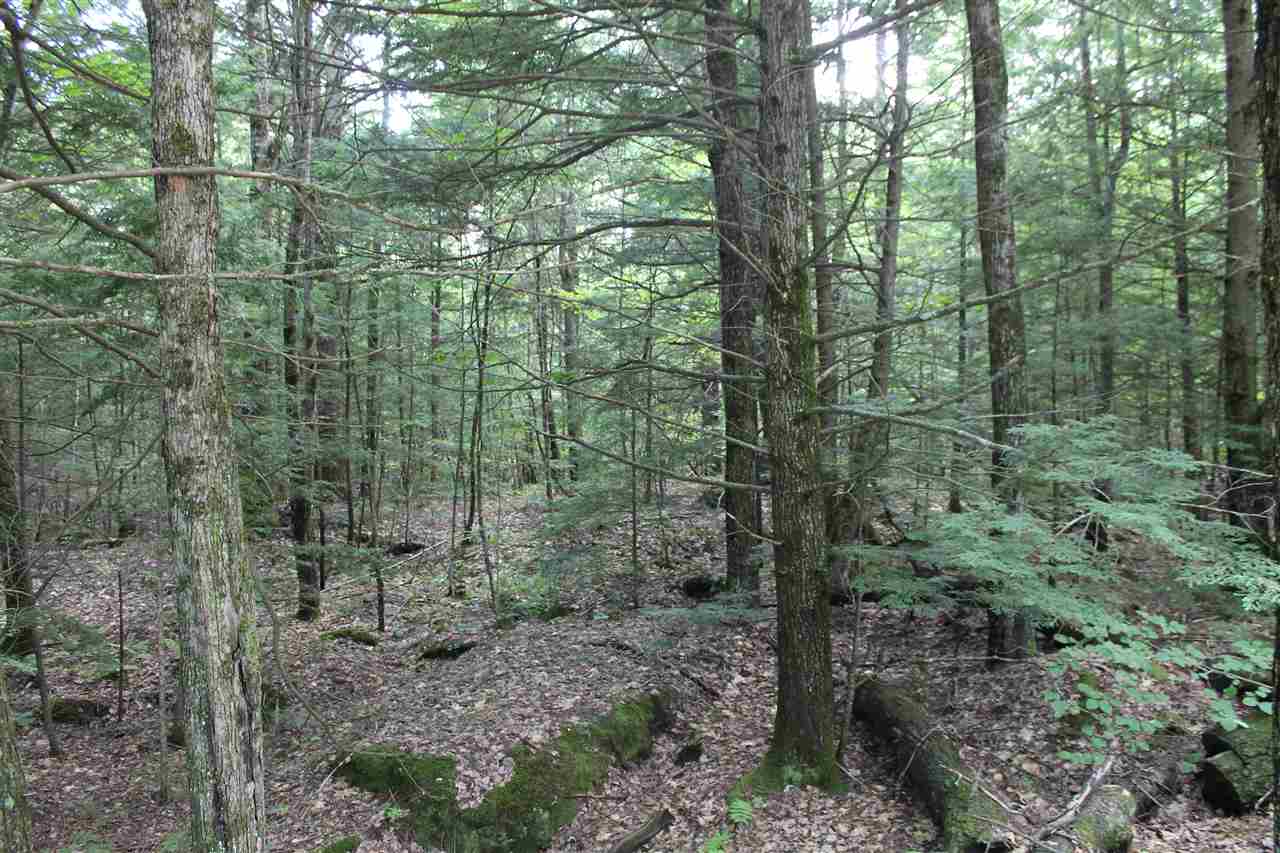 37 New Road, Unit 1 Barnstead, NH 03225 - Photo 7 of 13