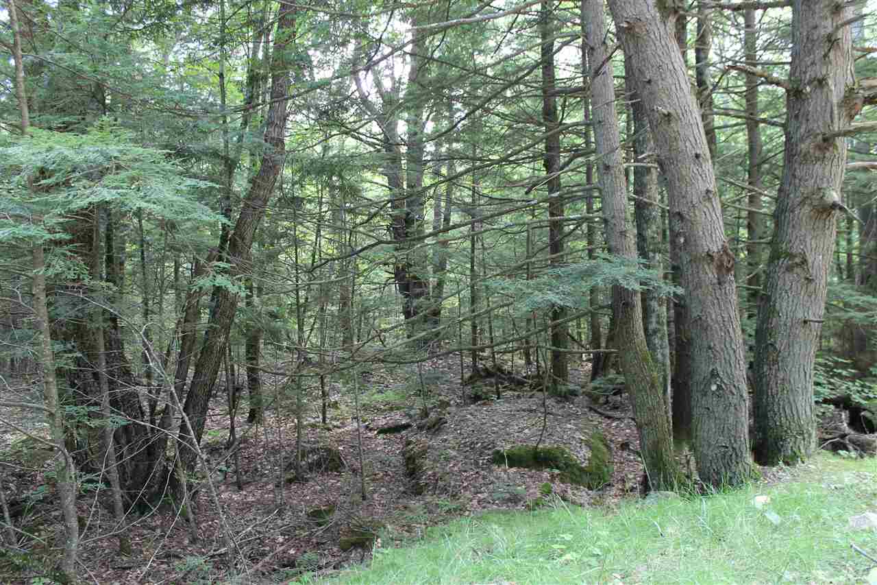 37 New Road, Unit 1 Barnstead, NH 03225 - Photo 8 of 13