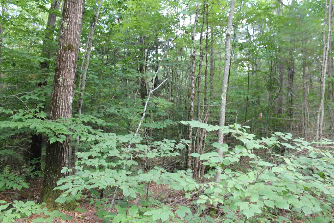 37 New Road, Unit 1 Barnstead, NH 03225 - Photo 9 of 13