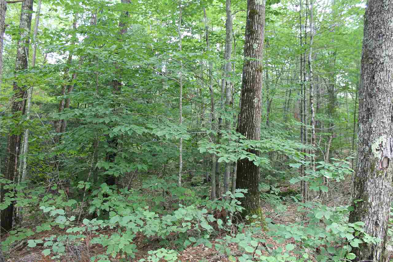 37 New Road, Unit 1 Barnstead, NH 03225 - Photo 10 of 13