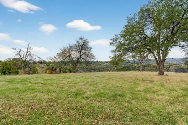a view of outdoor space with trees