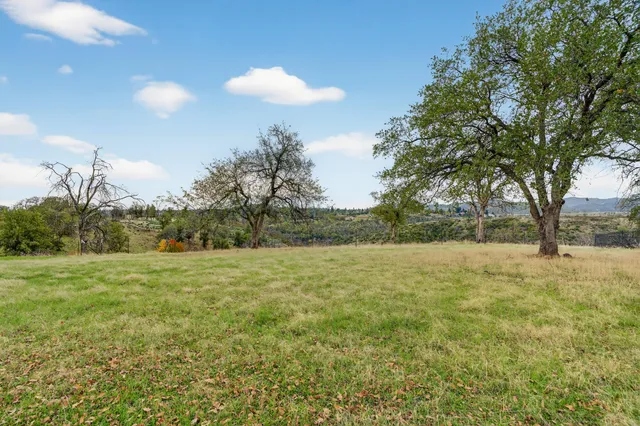 a view of outdoor space with trees