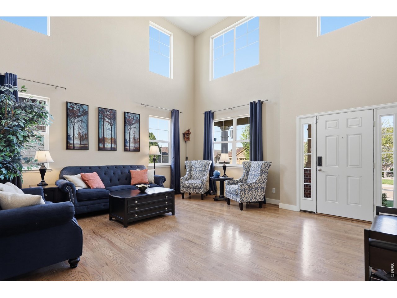 8709 Tack Street Frederick, CO 80504 - Photo 5 of 43 a living room with furniture and a couch
