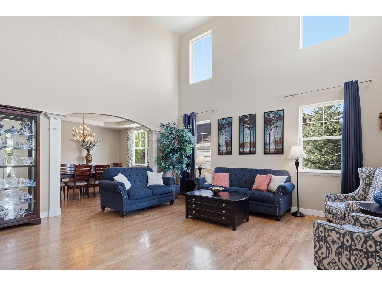 8709 Tack Street Frederick, CO 80504 - Photo 6 of 43 a living room with furniture and a large window