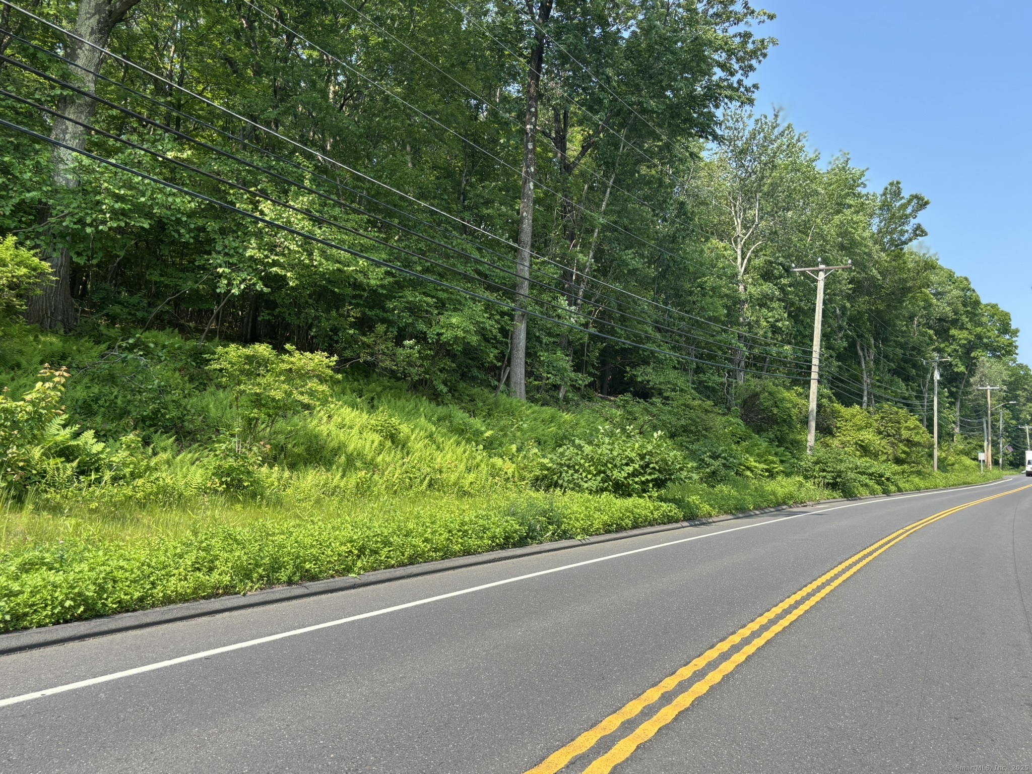 44 Cheshire Road Prospect, CT 06712 - Photo 16 of 39 a view of a balcony filled with lots of green space and plants