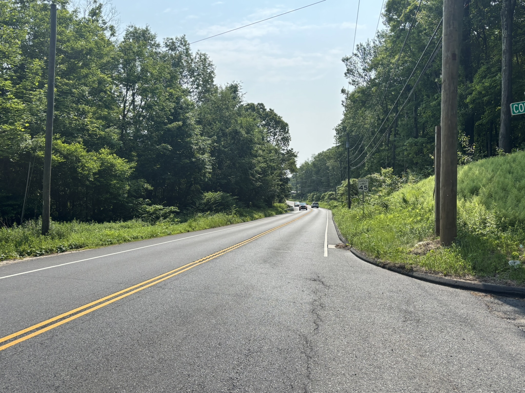 44 Cheshire Road Prospect, CT 06712 - Photo 21 of 39 a view of a road with a yard and large trees